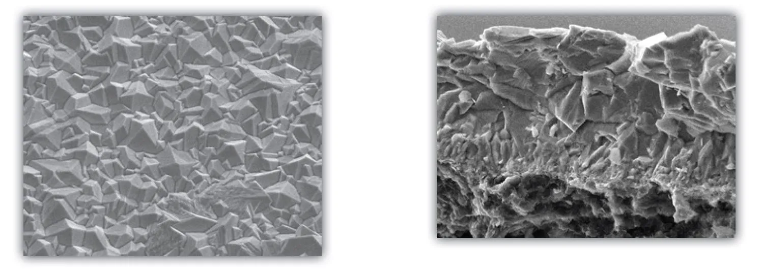 Surface and fracture analysis